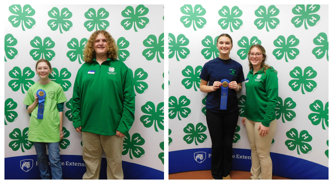 4-H State Potato Grading Competition