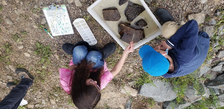 A group of kids looking at a piece of rock

Description automatically generated