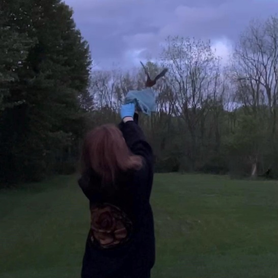 A person holding a blue glove up to her head

Description automatically generated