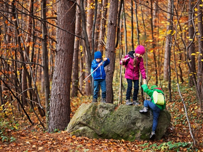 A group of kids standing on a rock in the woods Description automatically generated