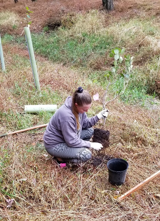 May be an image of 1 person and grass