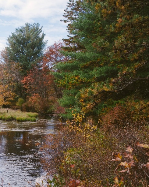 A river with trees and grass

Description automatically generated