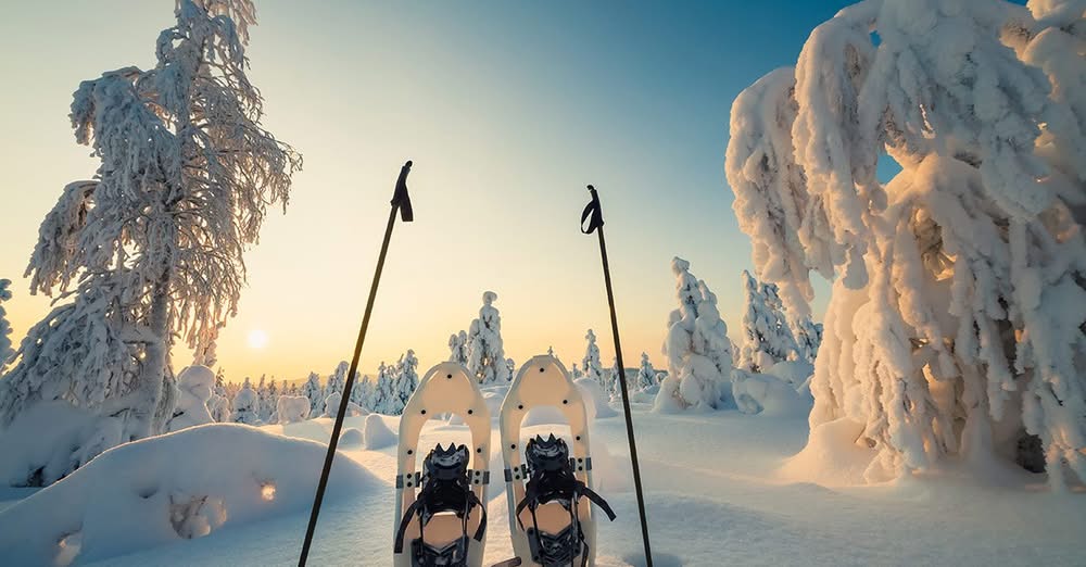 Snowshoes and poles in the snow

Description automatically generated